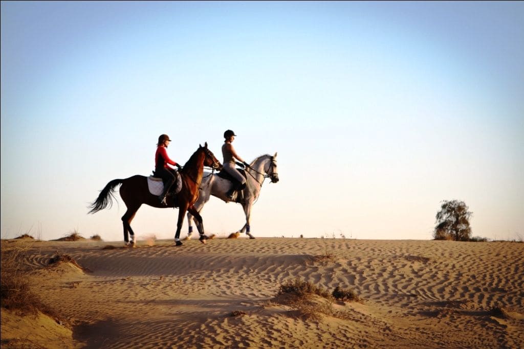 Cairo Trip
